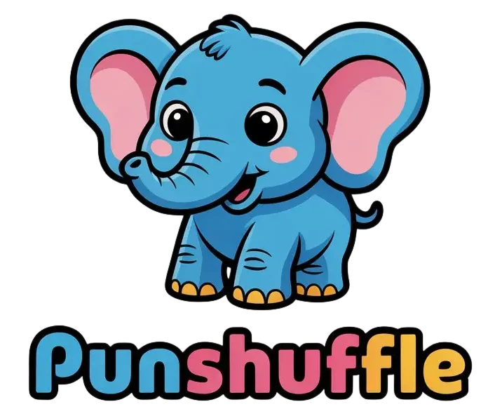 punshuffle.com