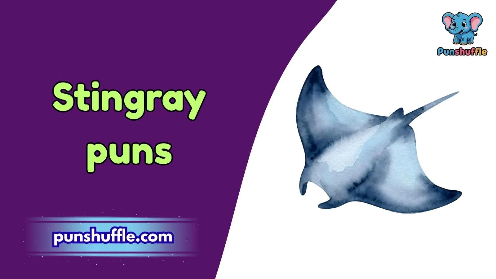Stingray puns