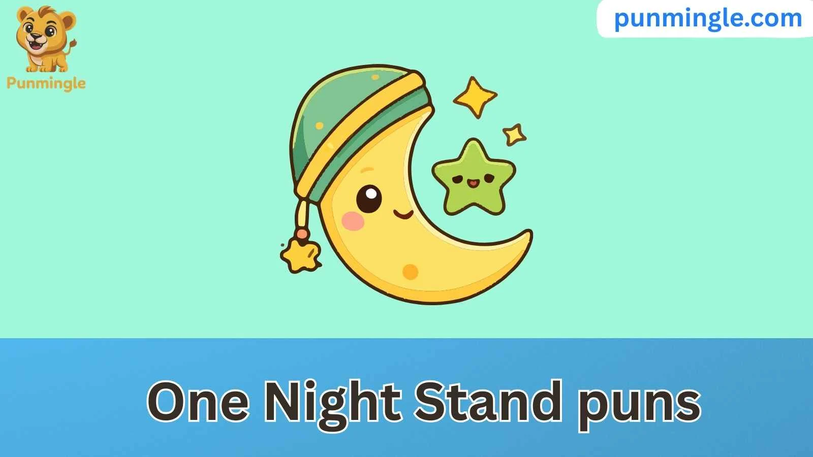 One Night Stand puns