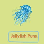 Jellyfish Puns