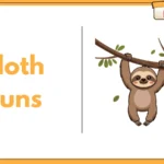 Sloth Puns