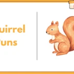 Squirrel Puns