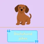 Dachshund jokes