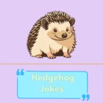 Hedgehog Jokes