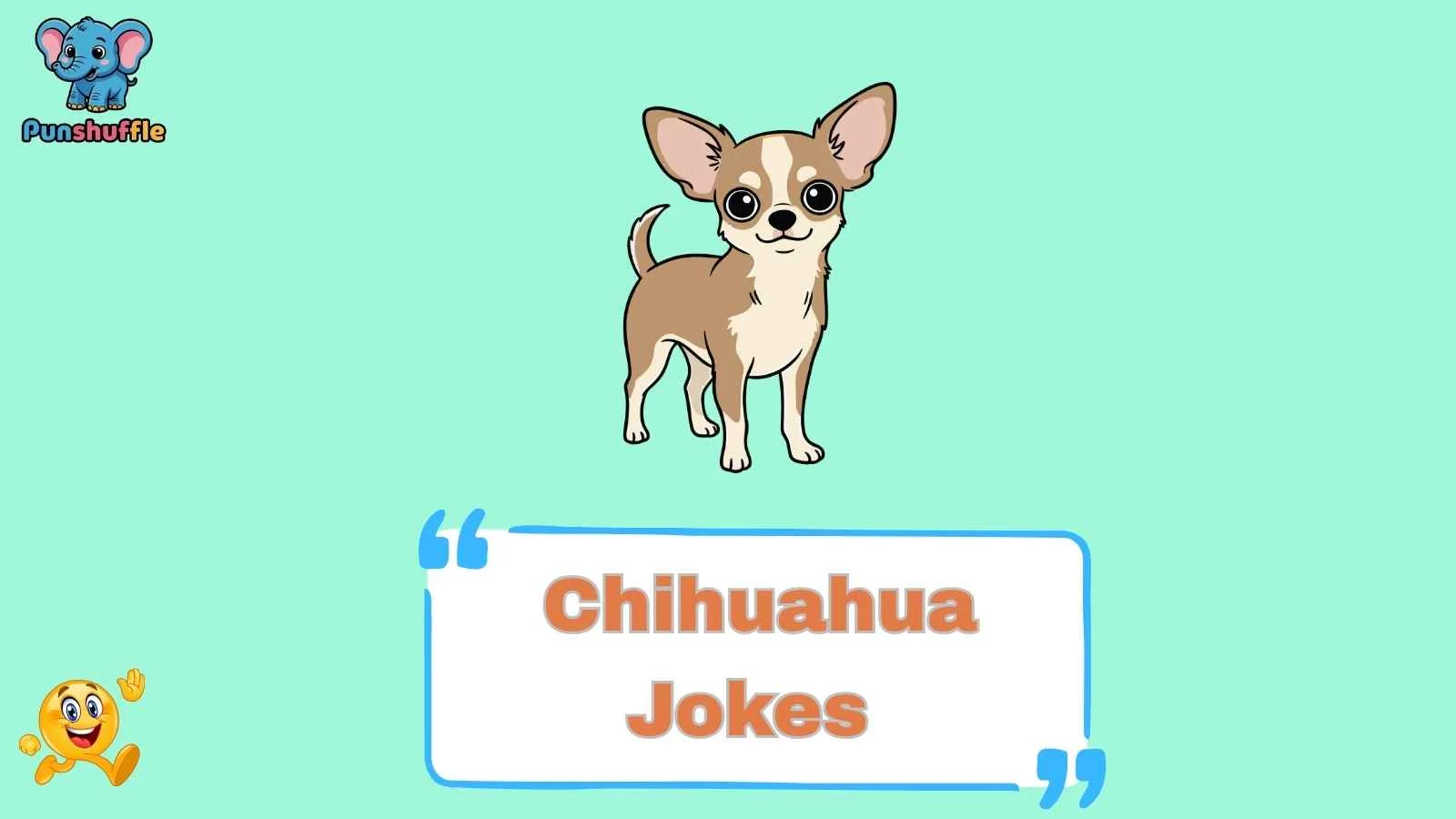 Chihuahua Jokes