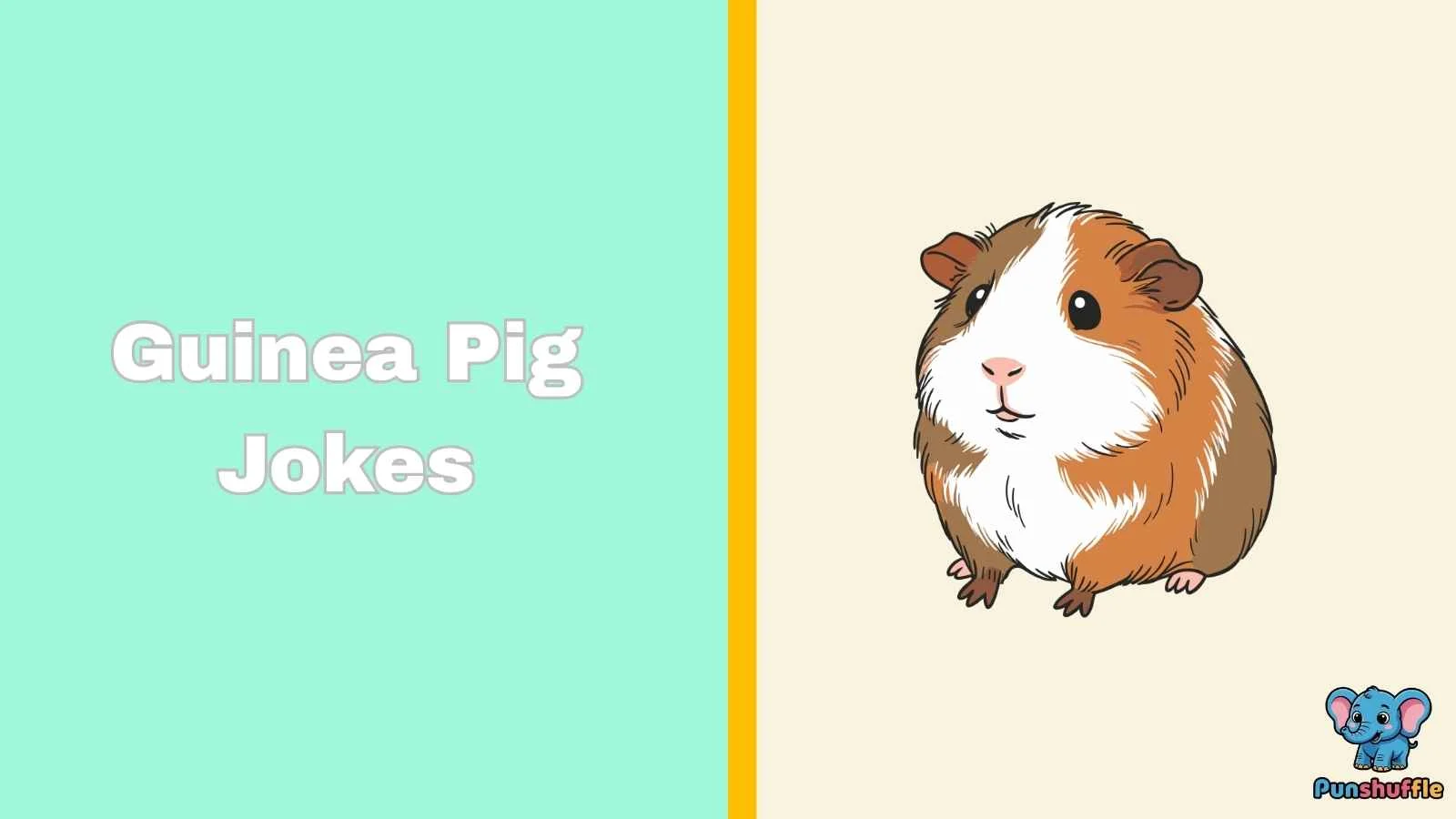 Guinea Pig Jokes