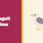 Seagull Jokes